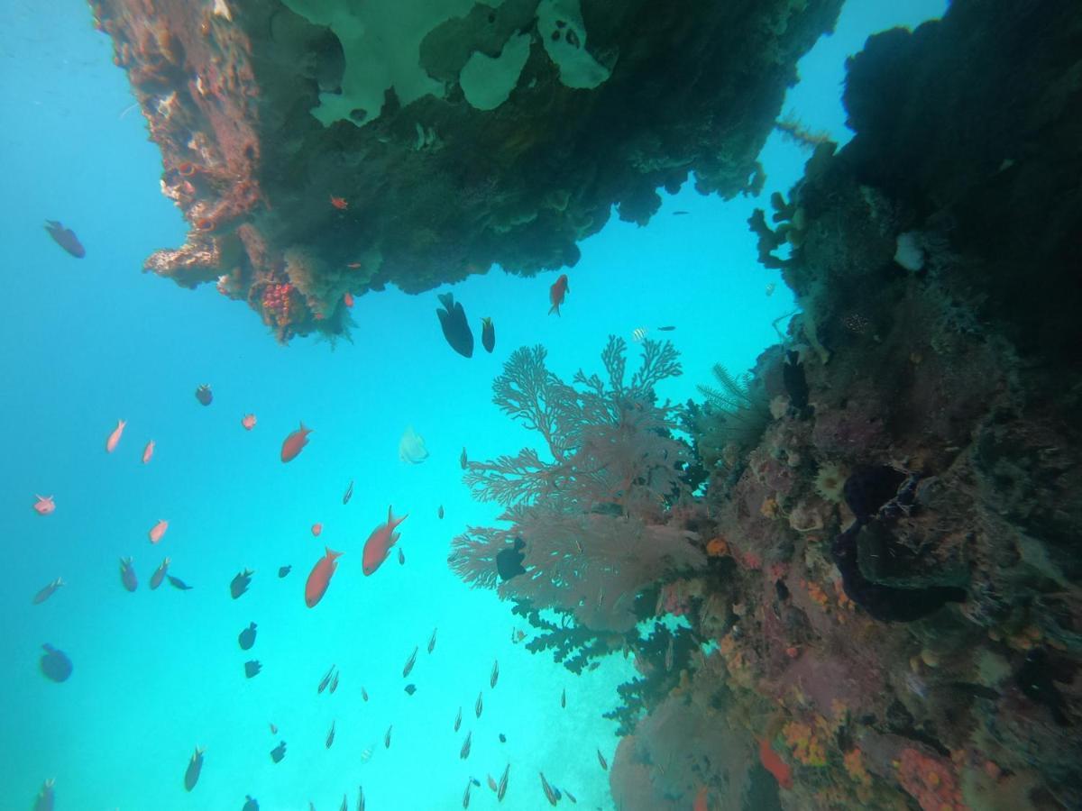 Meos Ambower Homestay Raja Ampat Fam Екстериор снимка