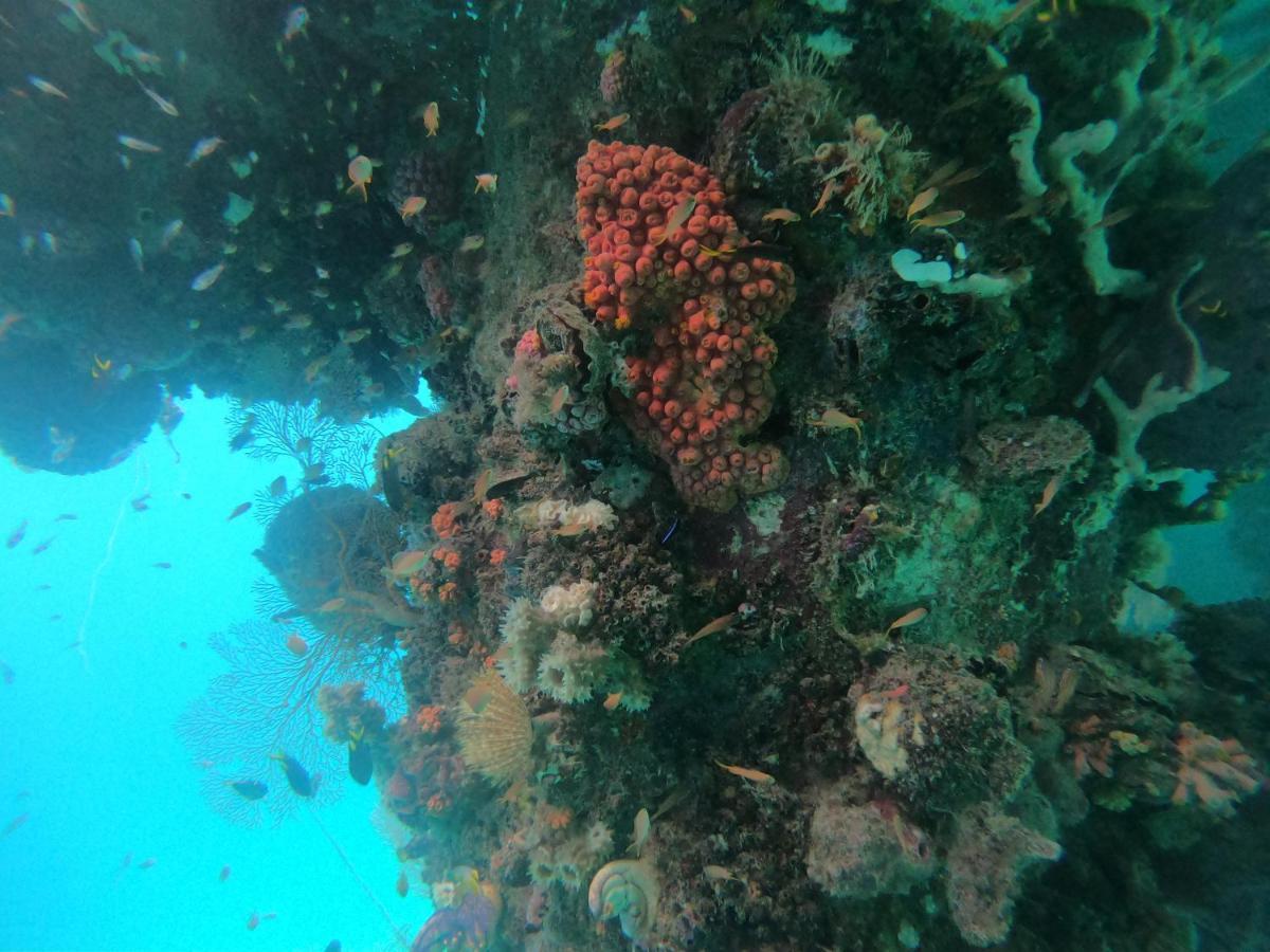 Meos Ambower Homestay Raja Ampat Fam Екстериор снимка